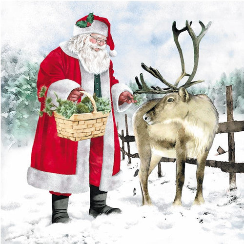 92011-00 Lunch Napkins: Santas Outdoors, 3 Assorted