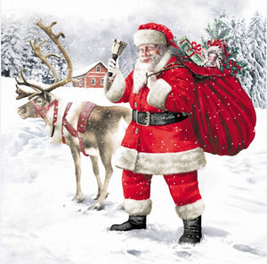 92011-00 Lunch Napkins: Santas Outdoors, 3 Assorted